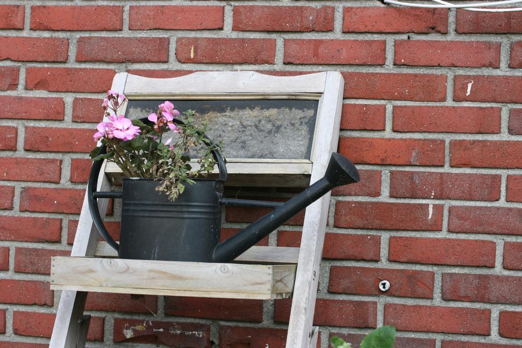De Johanneshoeve Westerhaar-Vriezenveensewijk Exterior foto